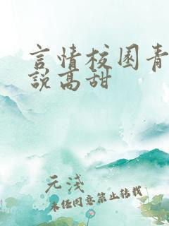 言情校园青春小说高甜