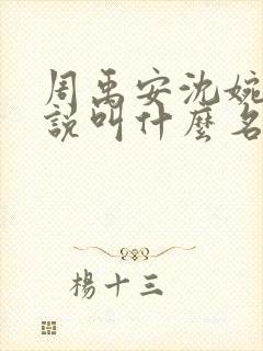 周禹安沈婉姿小说叫什么名字