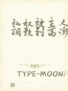 私奴被主人玩弄调教到高潮视频