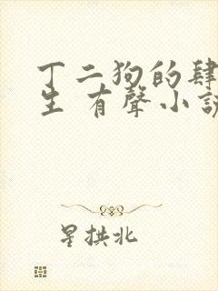 丁二狗的肆意人生 有声小说