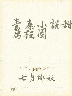 青春小说甜文推荐校园