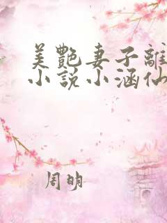 美艳妻子离婚后小说小涵仙免费阅读