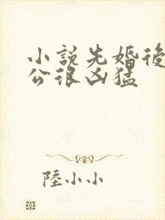 小说先婚后爱老公很凶猛