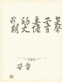 我的妻子是大乘期大佬有声书