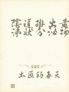 阴道排出黄色鼻涕状分泌物