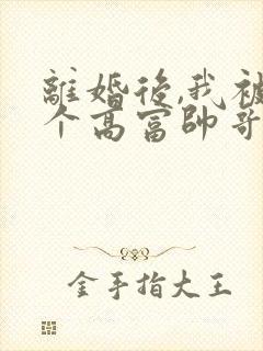 离婚后,我被三个高富帅哥哥团宠了