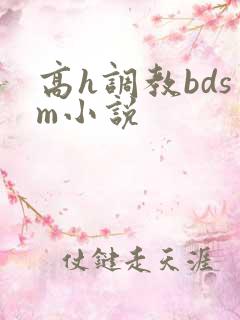 高h调教bdsm小说