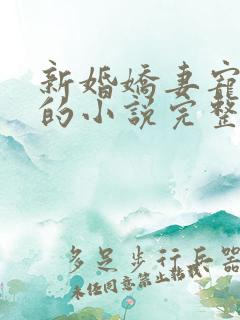 新婚娇妻宠上瘾的小说完整版