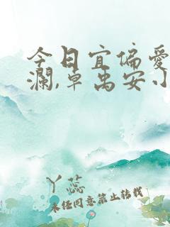 今日宜偏爱舒听澜,卓禹安小说全文免费阅读