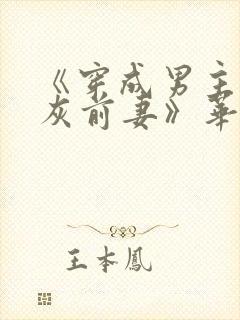 《穿成男主的炮灰前妻》华阙阙