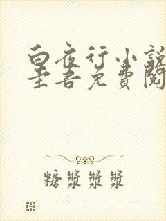 白夜行小说东野圭吾免费阅读全文