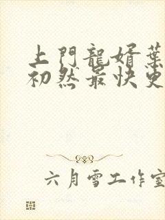 上门龙婿叶辰萧初然最快更新章节