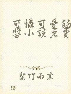 可怜可爱的纱夜酱小说免费阅读