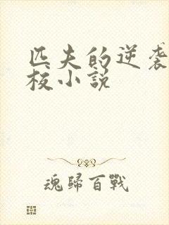 匹夫的逆袭骁骑校小说