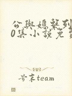 公与媳系列100集小说免费看