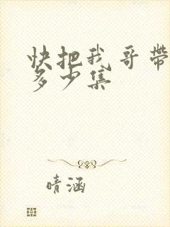 快把我哥带走共多少集
