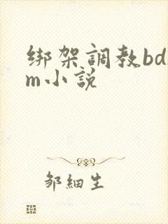 绑架调教bdsm小说