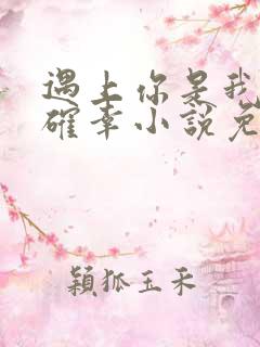 遇上你是我的小确幸小说免费阅读