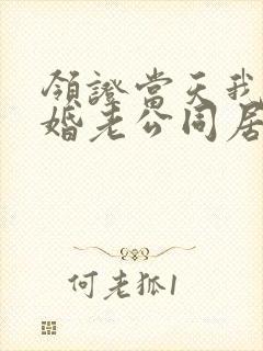 领证当天我和闪婚老公同居了