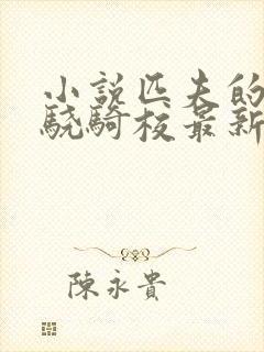 小说匹夫的逆袭骁骑校最新更新