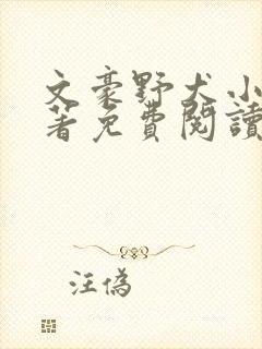 文豪野犬小说原著免费阅读