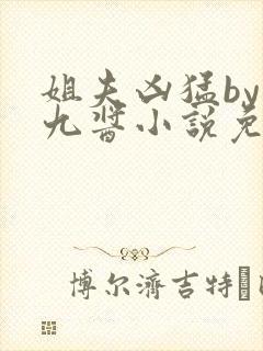 姐夫凶猛by十九酱小说免费阅读下载