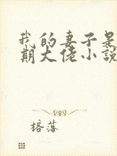 我的妻子是大乘期大佬小说完整版本