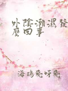 外阴潮湿发痒怎么回事