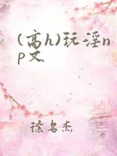 (高h)玩淫np文