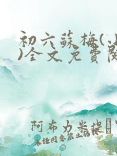 初六苏梅(小说)全文免费阅读