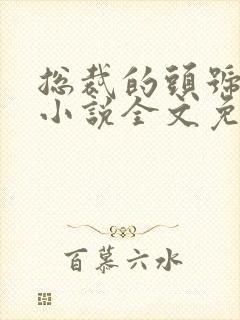 总裁的头号新妻小说全文免费阅读