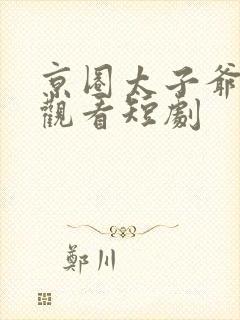 京圈太子爷免费观看短剧