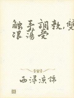 触手调教,双性浪荡受