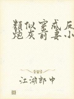 类似穿成反派的炮灰前妻小说