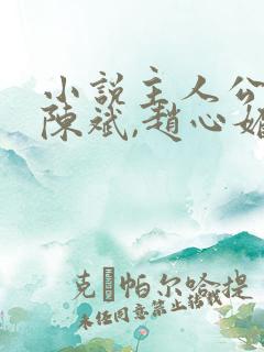 小说主人公叫:陈斌,赵心媚