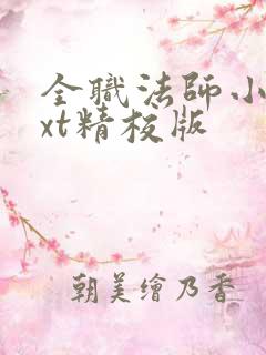 全职法师小说txt精校版