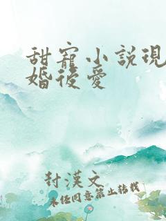 甜宠小说现言先婚后爱
