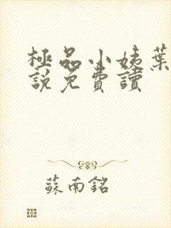 极品小姨叶凡小说免费读