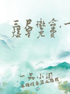 三尺微命,一拳爆星免费