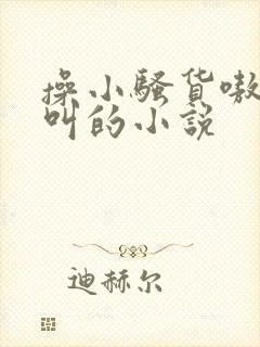 操小骚货嗷嗷直叫的小说