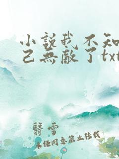 小说我不知道自己无敌了txt
