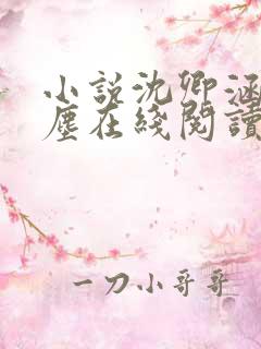 小说沈卿涵林新尘在线阅读