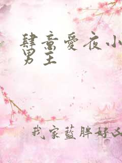 肆意爱夜小说双男主