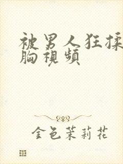 被男人狂揉吃奶胸视频