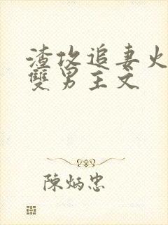 渣攻追妻火葬场双男主文