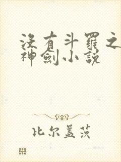 没有斗罗之灵珠神剑小说