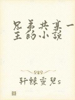 兄弟共享一个女主的小说