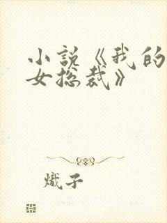 小说《我的高冷女总裁》