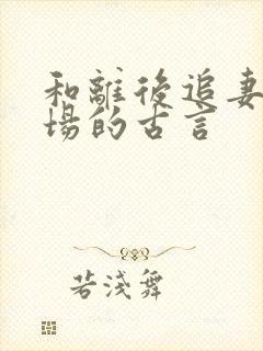 和离后追妻火葬场的古言