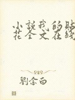 小说我的贴身校花全文在线阅读